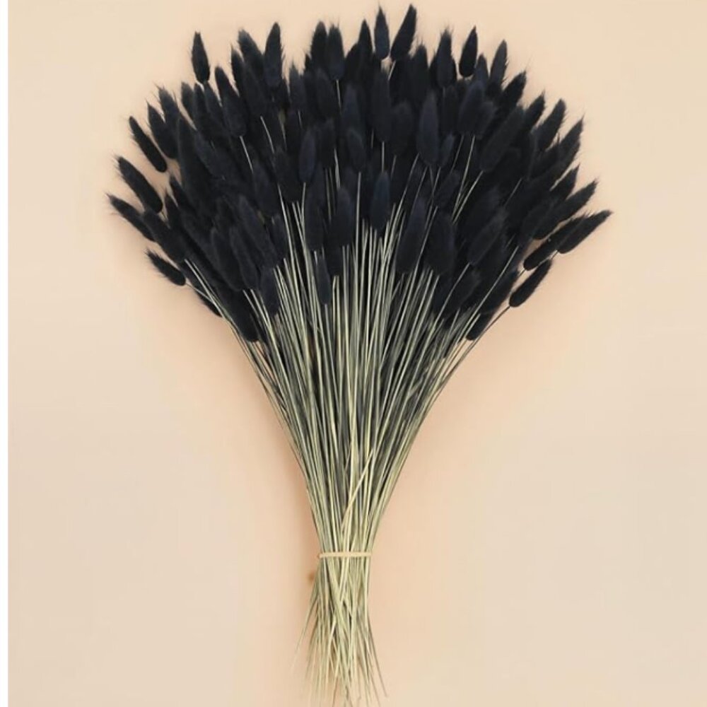 100 Pcs Black Bunny Tails Dried Flowers